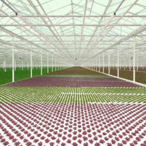 Polymer Greenhouse Gutters For Professionals