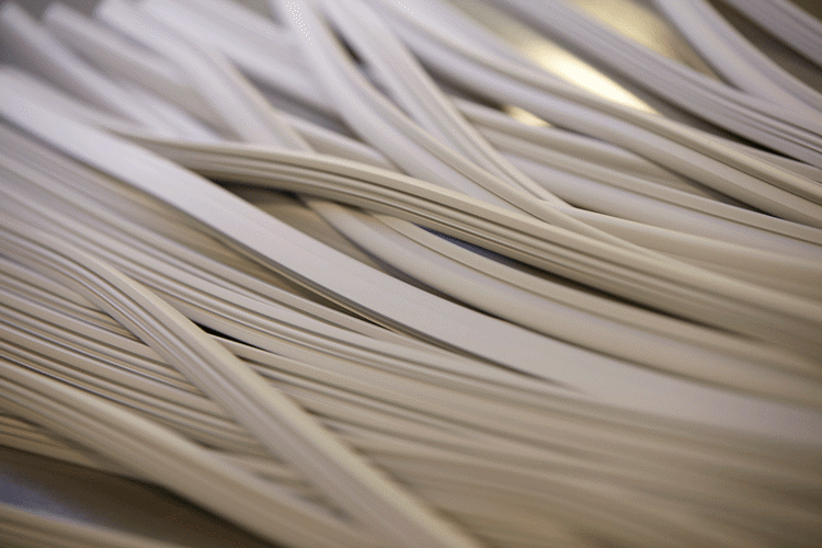 Seal profiles from Primo