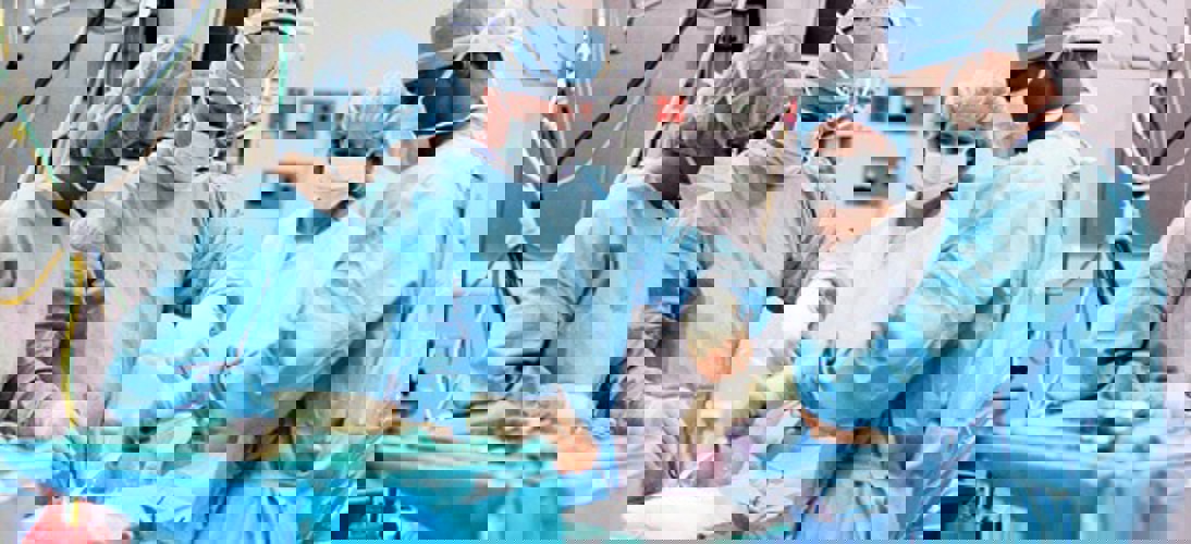 Primo medical tubes respects highest quality requirements