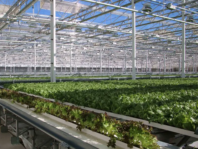 Profiles and gutters for greenhouses designed by Primo