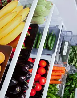 Refrigeration profiles in home appliances